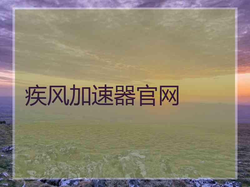 疾风加速器官网