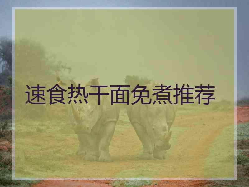 速食热干面免煮推荐