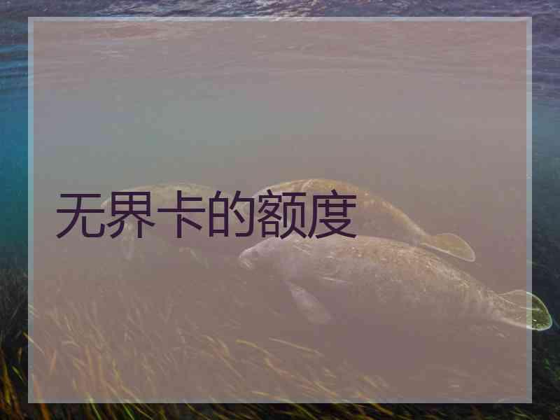 无界卡的额度