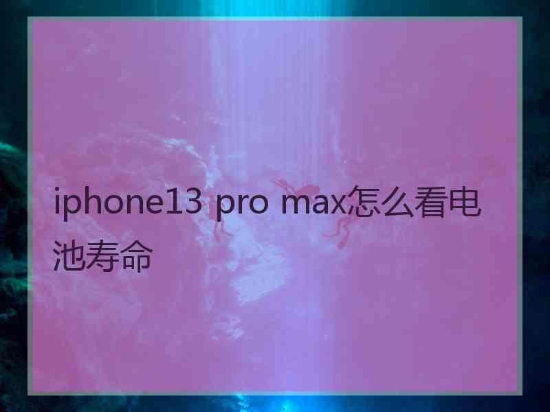 iphone13 pro max怎么看电池寿命