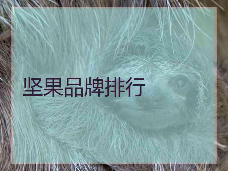 坚果品牌排行