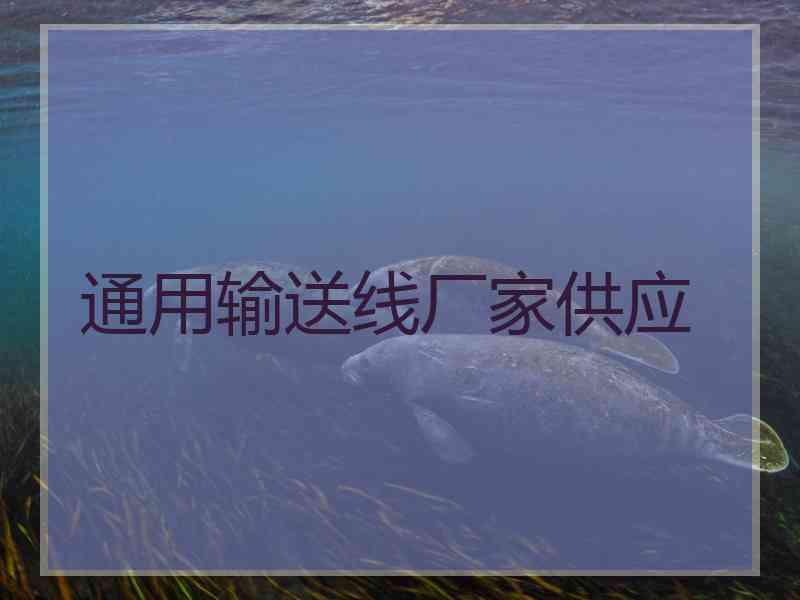 通用输送线厂家供应
