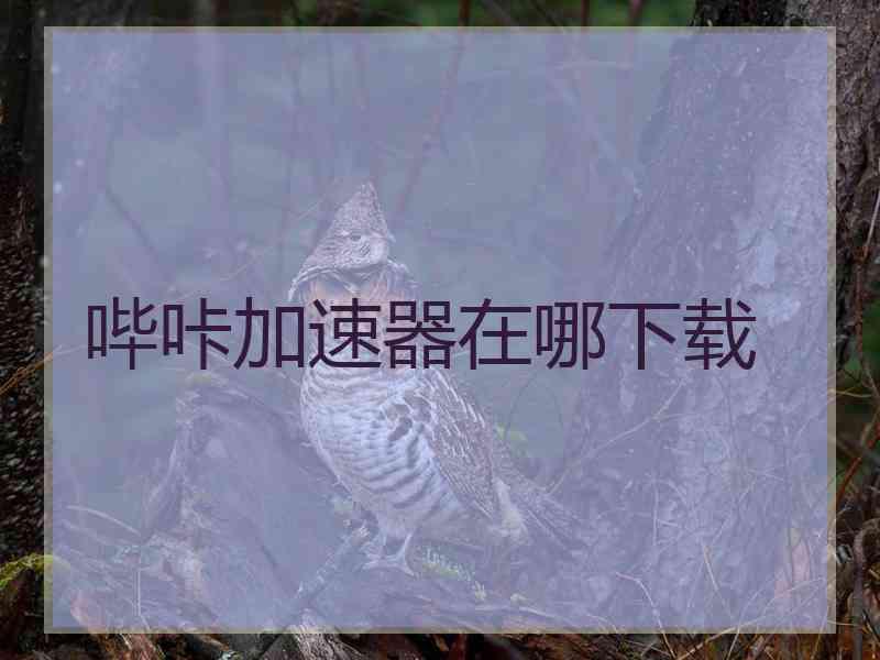 哔咔加速器在哪下载