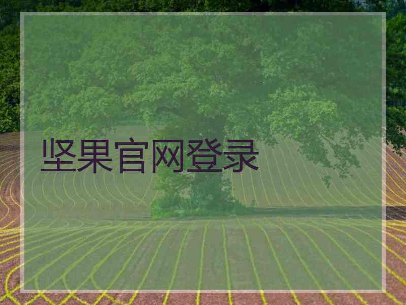 坚果官网登录
