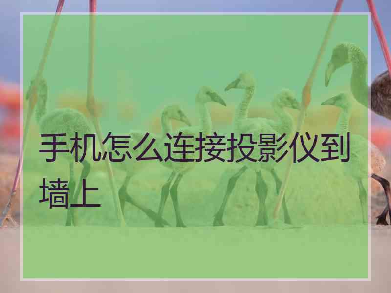 手机怎么连接投影仪到墙上