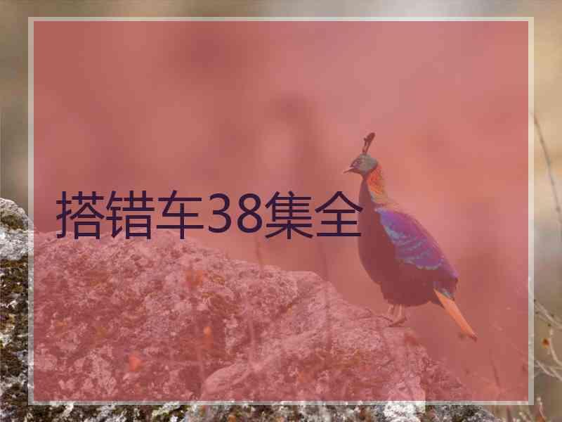 搭错车38集全