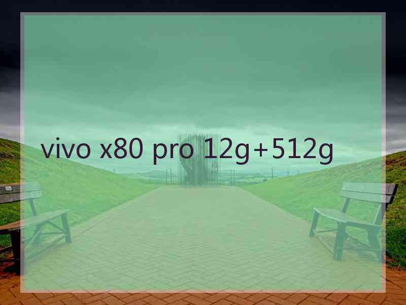 vivo x80 pro 12g+512g