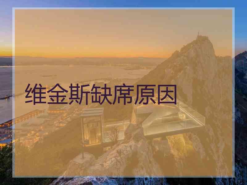 维金斯缺席原因