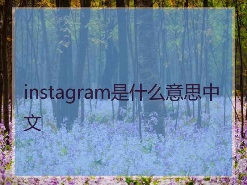 instagram是什么意思中文