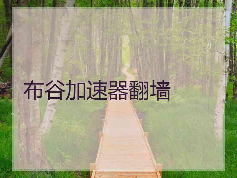 布谷加速器翻墙