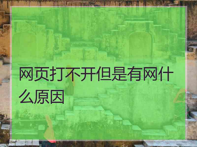 网页打不开但是有网什么原因