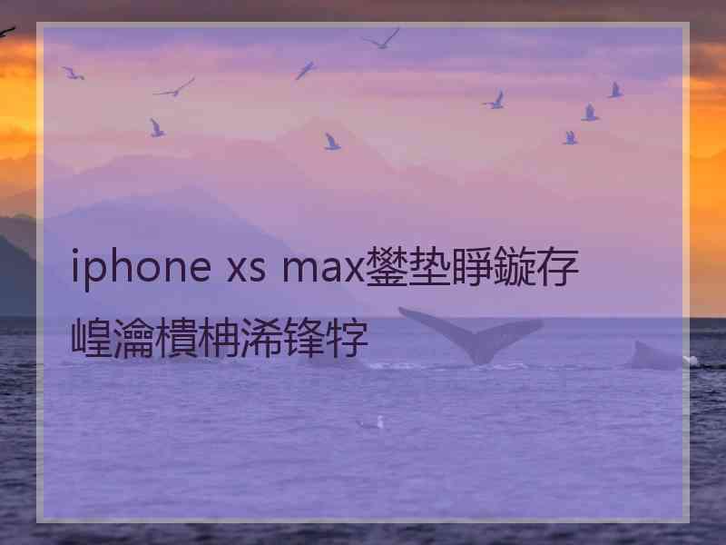 iphone xs max鐢垫睜鏇存崲瀹樻柟浠锋牸