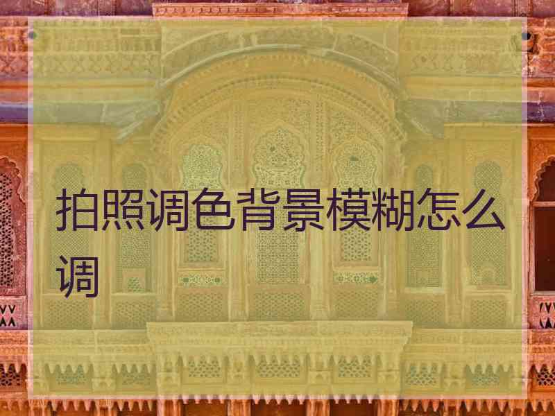 拍照调色背景模糊怎么调