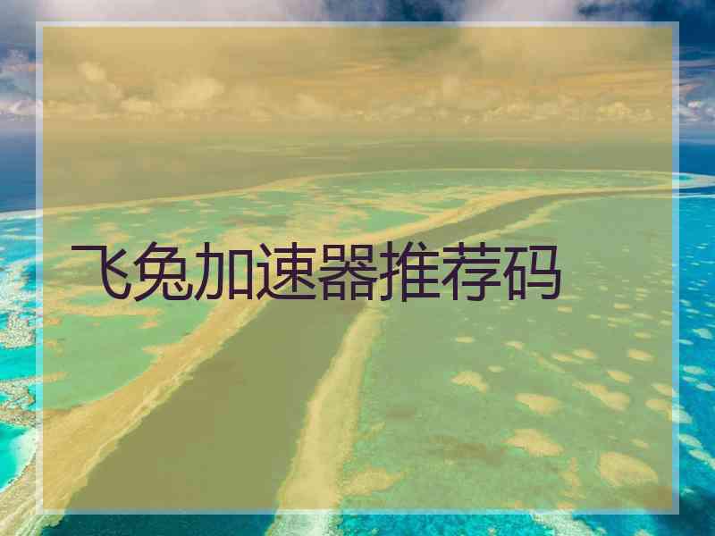 飞兔加速器推荐码