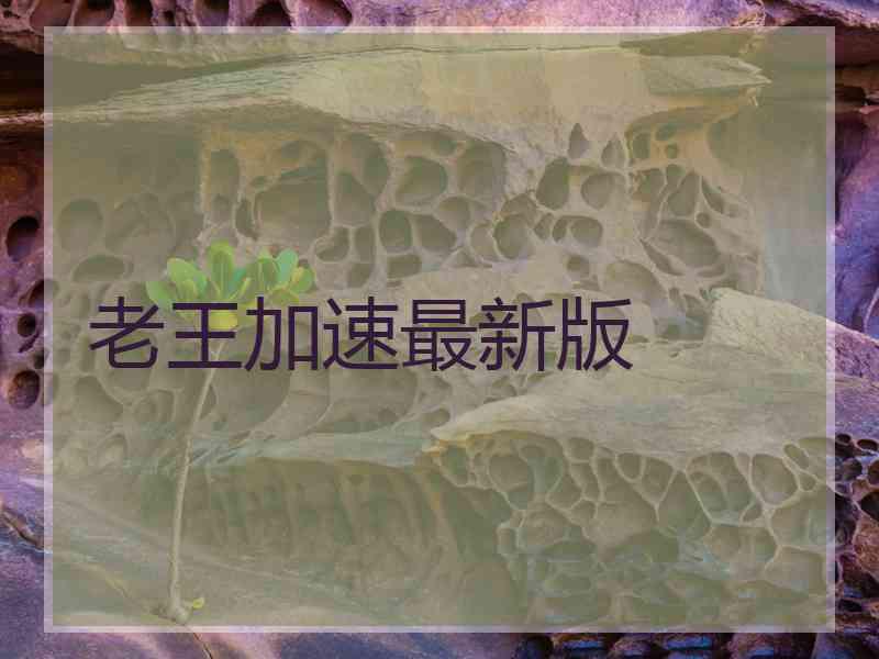 老王加速最新版