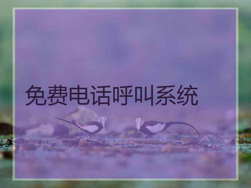 免费电话呼叫系统