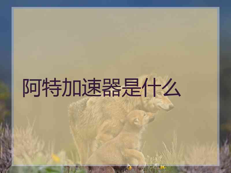 阿特加速器是什么