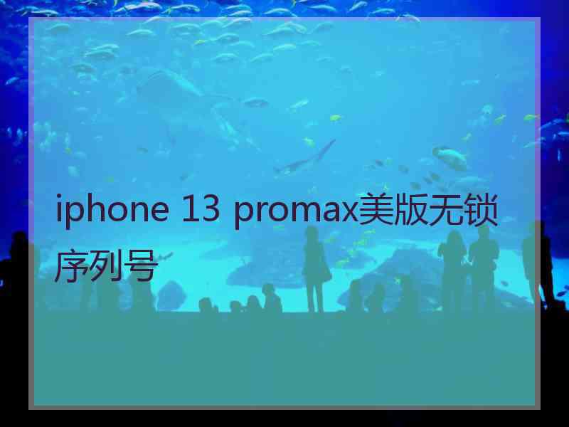 iphone 13 promax美版无锁序列号