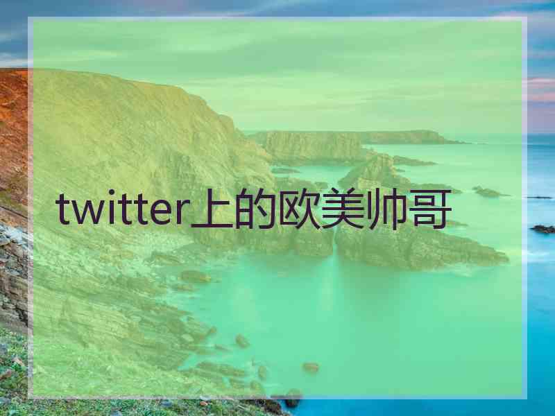 twitter上的欧美帅哥
