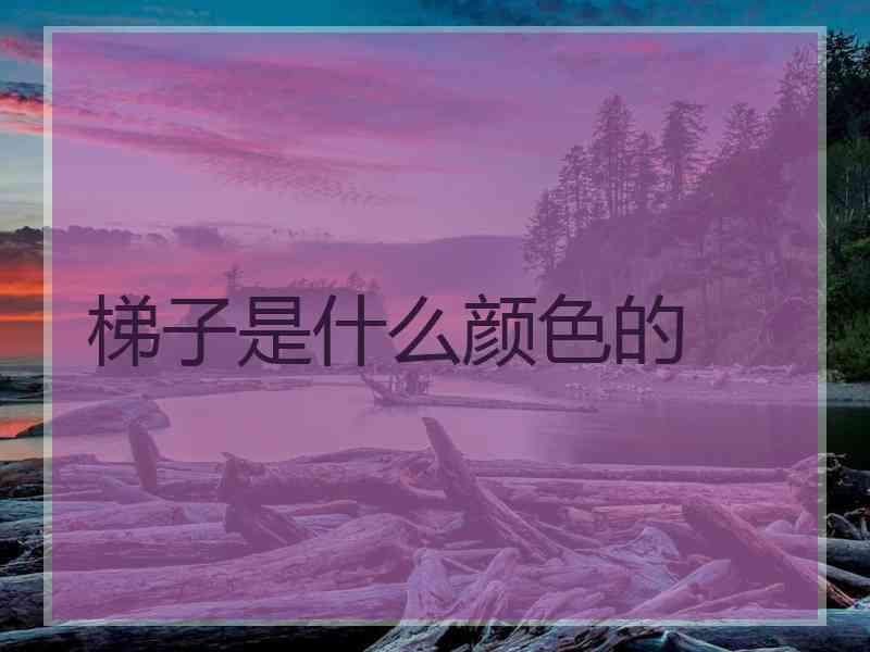 梯子是什么颜色的