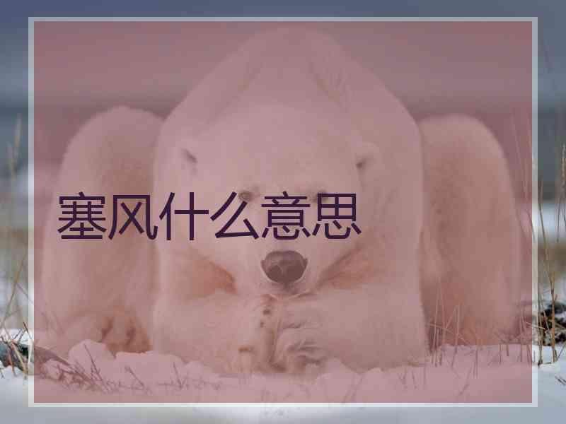 塞风什么意思