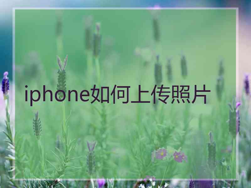 iphone如何上传照片