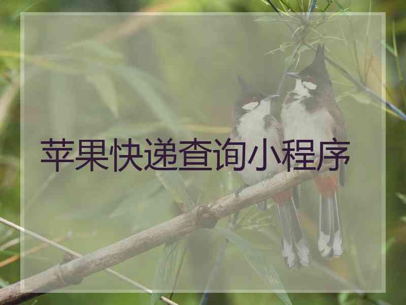 苹果快递查询小程序