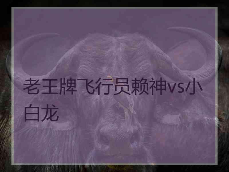老王牌飞行员赖神vs小白龙