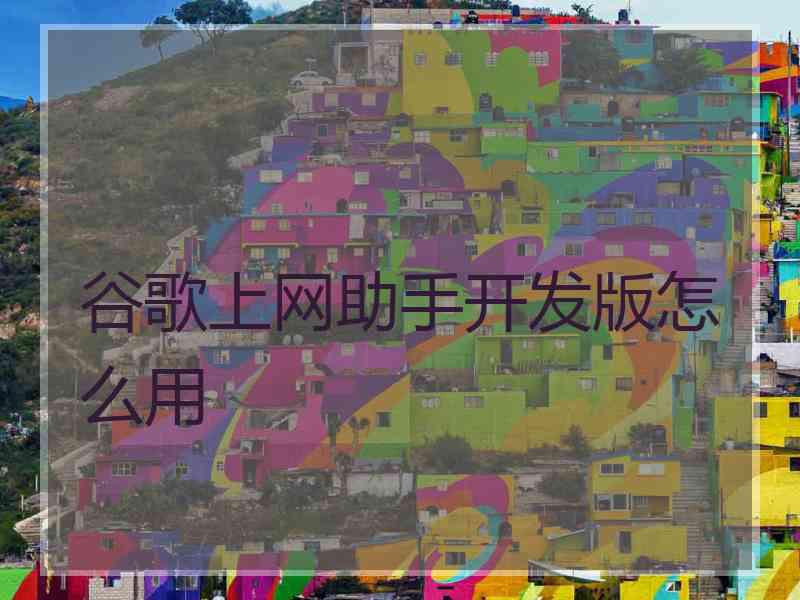 谷歌上网助手开发版怎么用