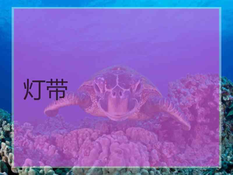 灯带