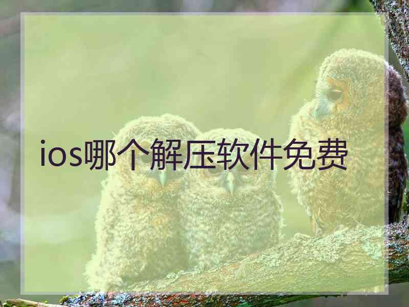 ios哪个解压软件免费