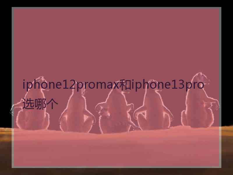 iphone12promax和iphone13pro选哪个