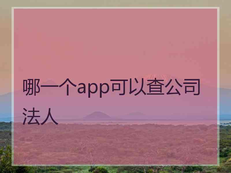 哪一个app可以查公司法人