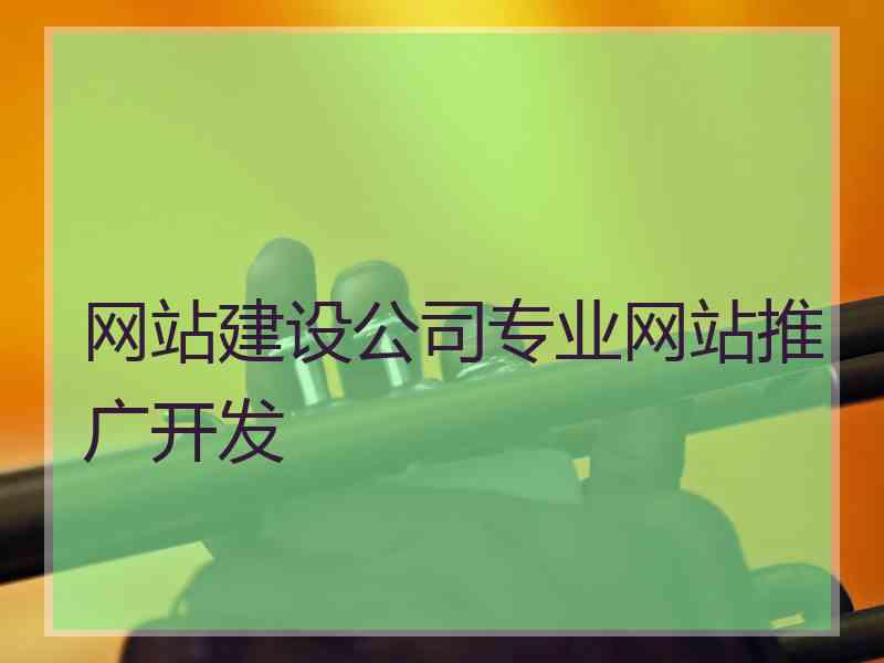 网站建设公司专业网站推广开发