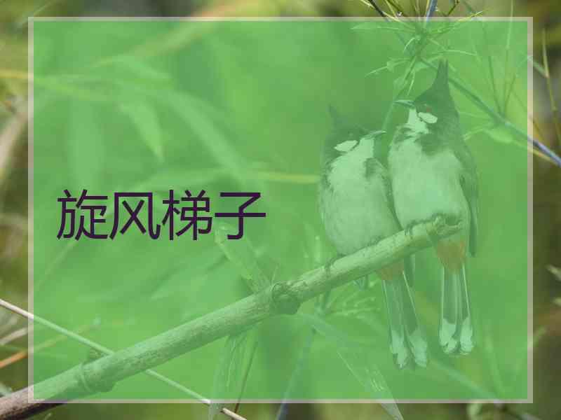 旋风梯子