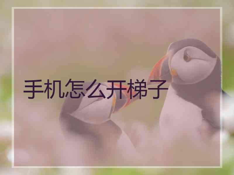 手机怎么开梯子
