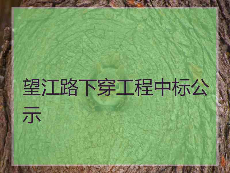 望江路下穿工程中标公示