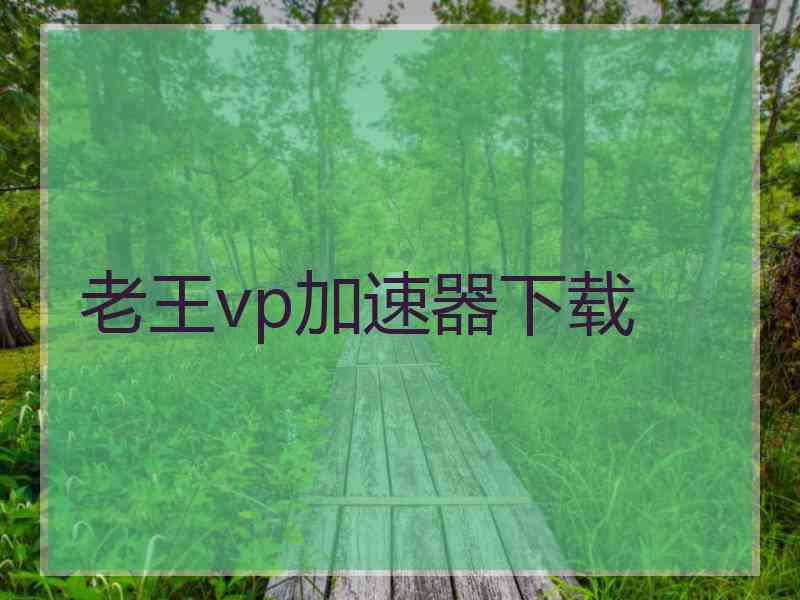 老王vp加速器下载