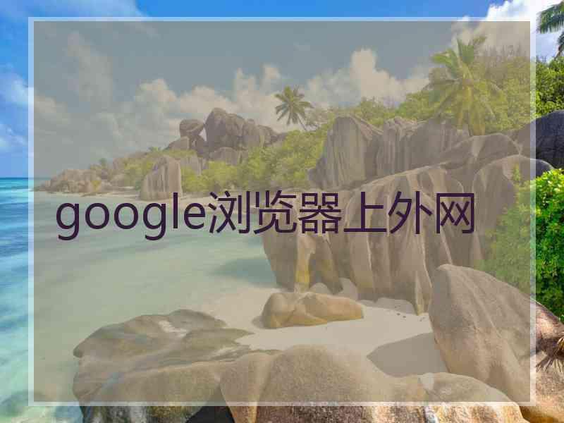 google浏览器上外网