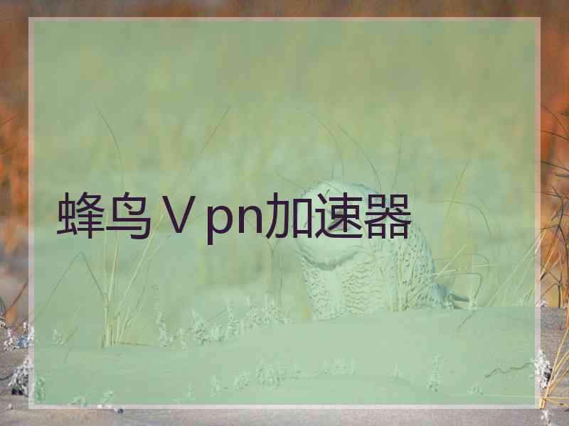 蜂鸟Ⅴpn加速器