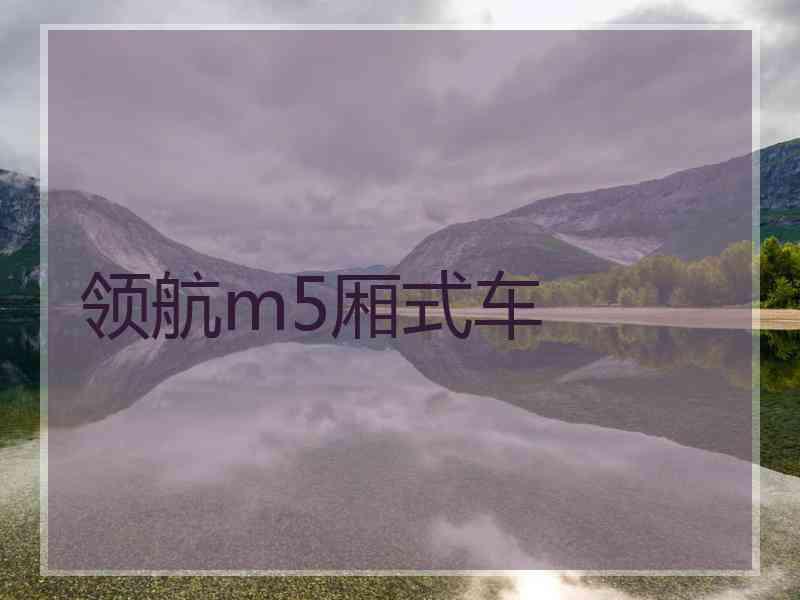 领航m5厢式车