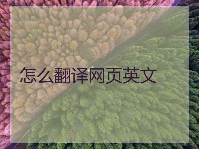 怎么翻译网页英文