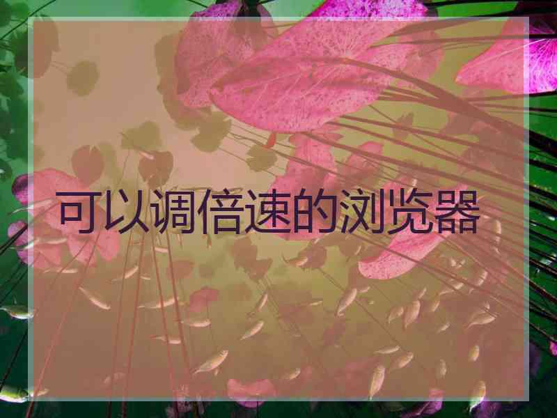 可以调倍速的浏览器