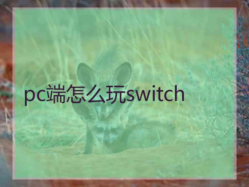 pc端怎么玩switch