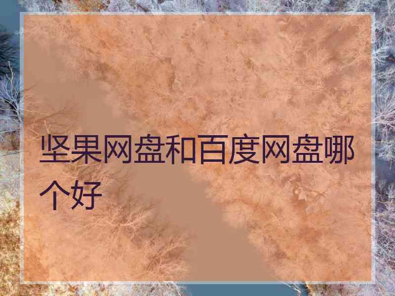 坚果网盘和百度网盘哪个好