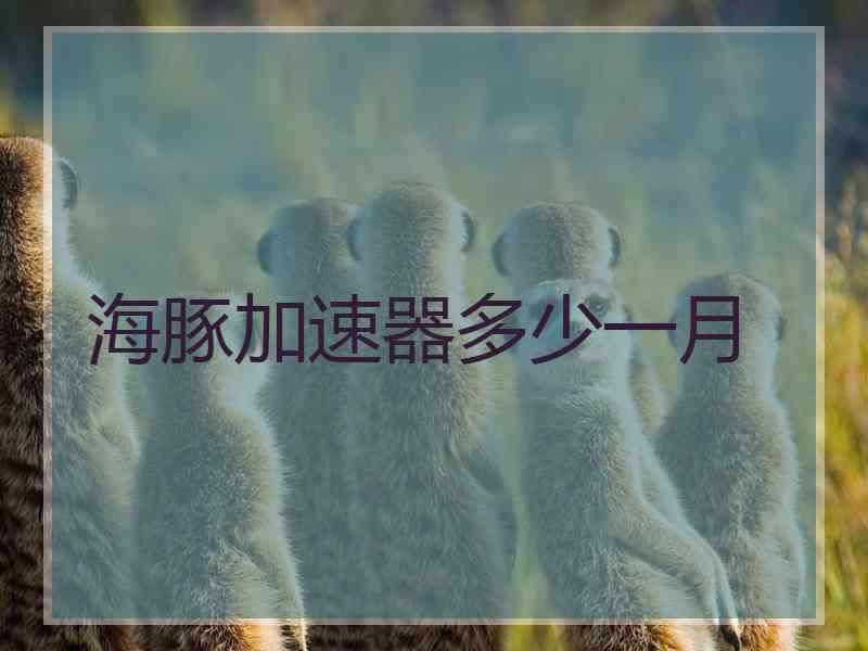 海豚加速器多少一月