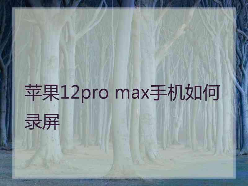 苹果12pro max手机如何录屏