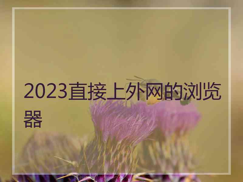 2023直接上外网的浏览器