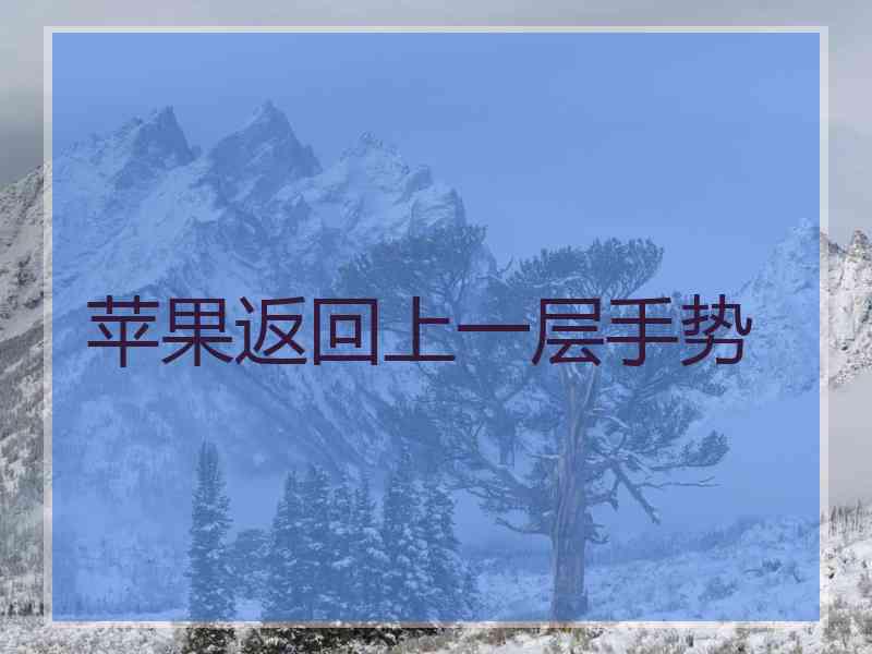 苹果返回上一层手势