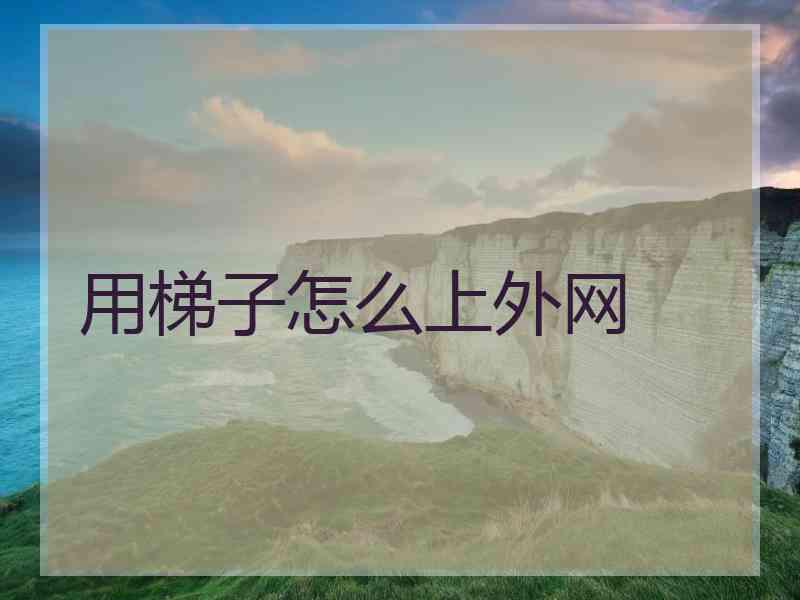 用梯子怎么上外网